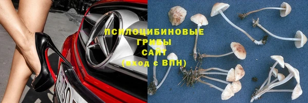 тгк Покров