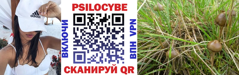 Псилоцибиновые грибы прущие грибы  Будённовск 